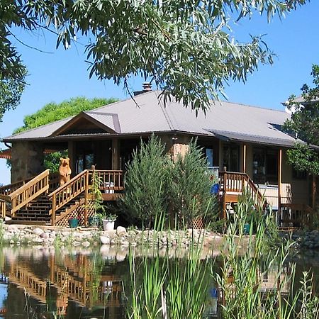 Starry Nights Ranch Bed & Breakfast Mancos Exterior photo