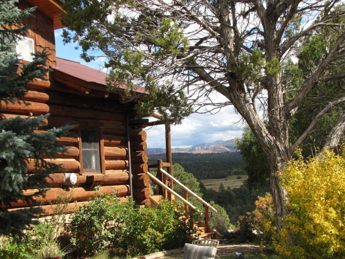 Starry Nights Ranch Bed & Breakfast Mancos Exterior photo